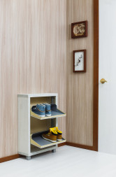 Шкаф для обуви в прихожую узкий